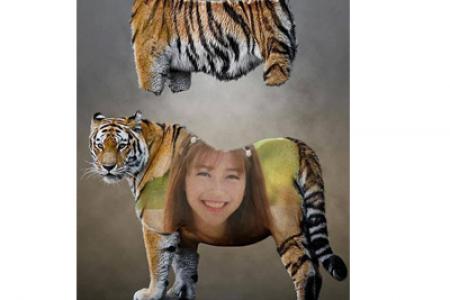 Skin tiger photo effect