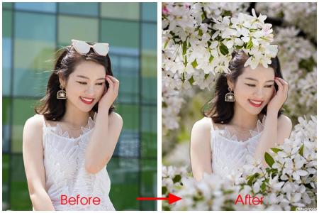 Photo collage effect on cherry blossom garden